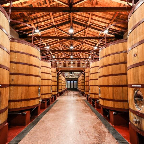 Kiszenie warzyw: podstawy i porady